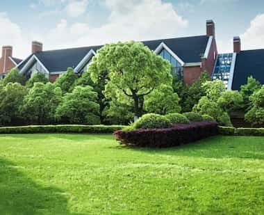 Manicured residential front lawn and hedges