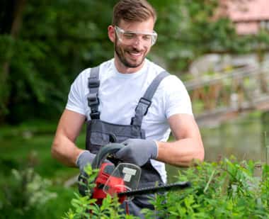 Crew member trimming hedges