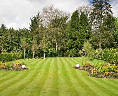 Striped lawn with perennial beds
