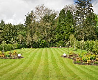 Striped lawn with perennial beds