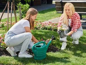 Planting beds