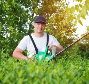 Smiler Services photo 6