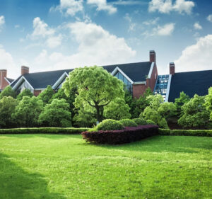 Smiler Services photo 8